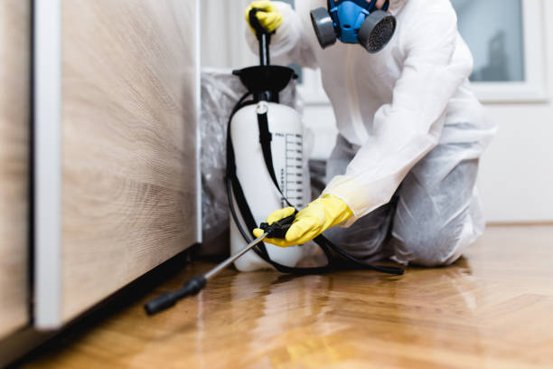 Best Mosquito Control Services  in Indian Hills, TX