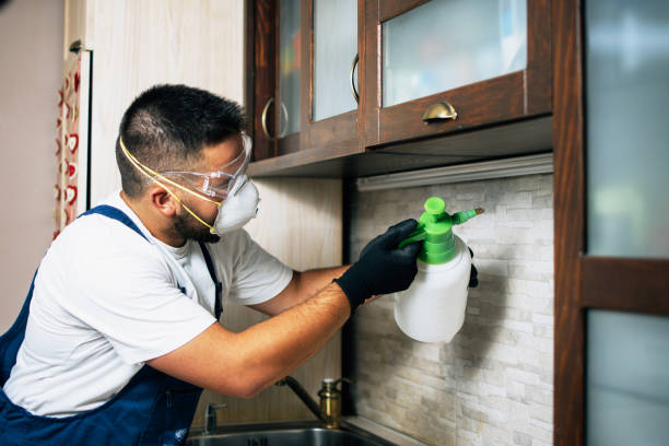 Best Flea Control Services  in Indian Hills, TX