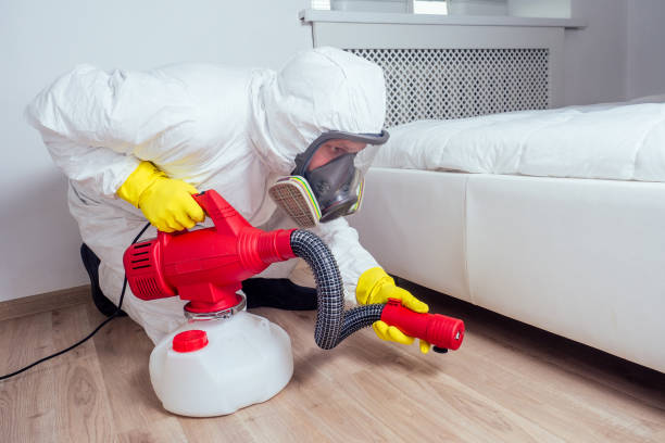 Best Pest Control Near Me in Indian Hills, TX