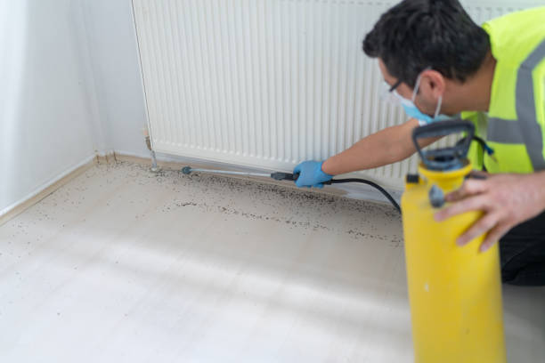 Best Best Pest Control Companies  in Indian Hills, TX